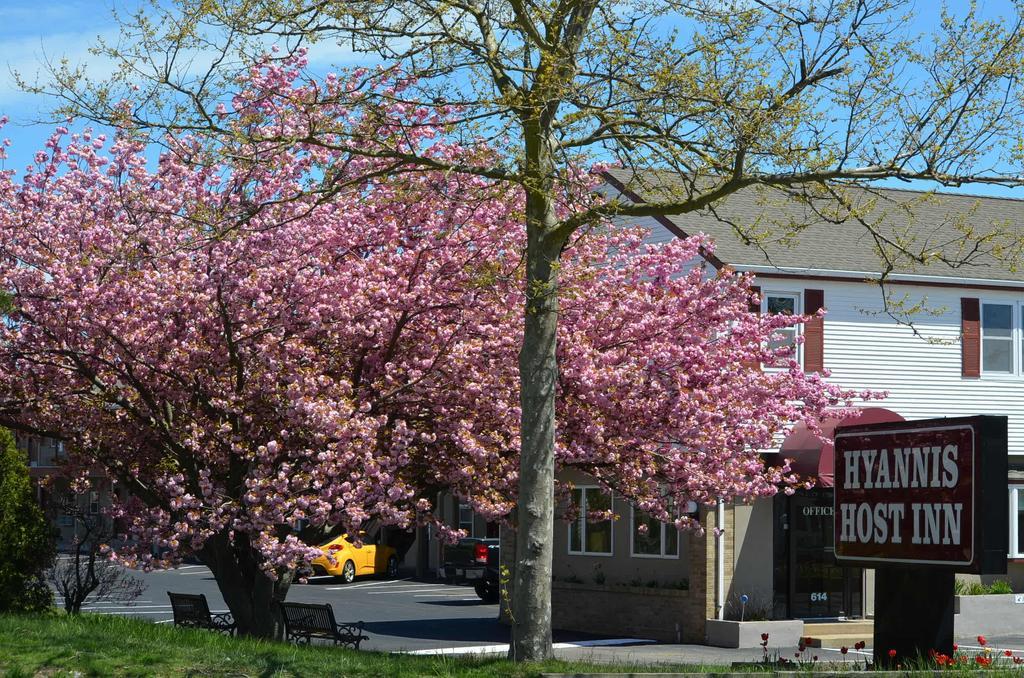 Hyannis Host Inn Luaran gambar